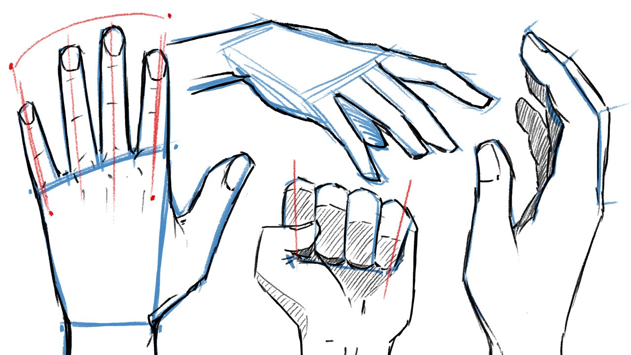 Easy 7-Step Guide to Drawing