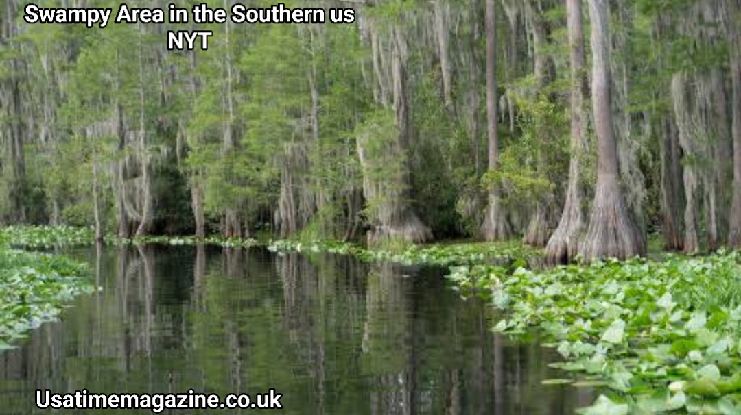 Swampy Area in the Southern us NYT