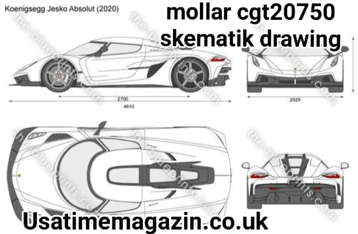 mollar cgt20750 skematik drawing