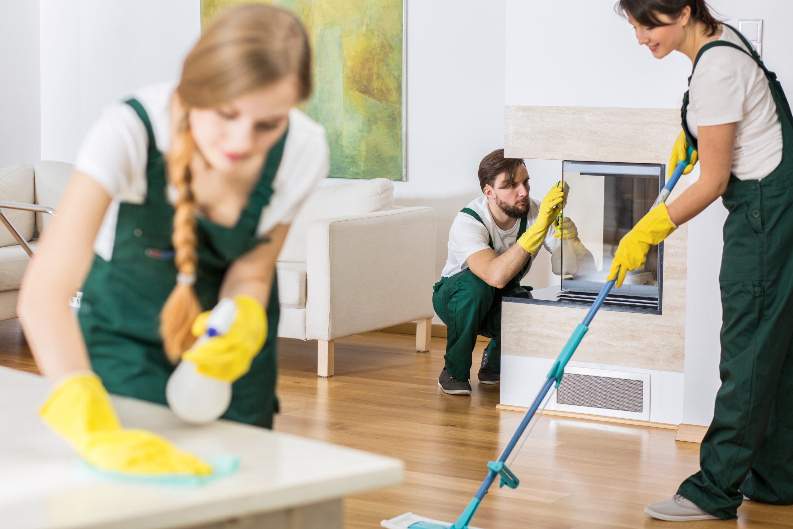 Cleaning Services