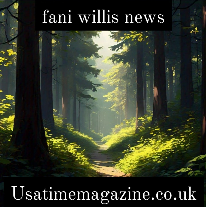 fani willis news