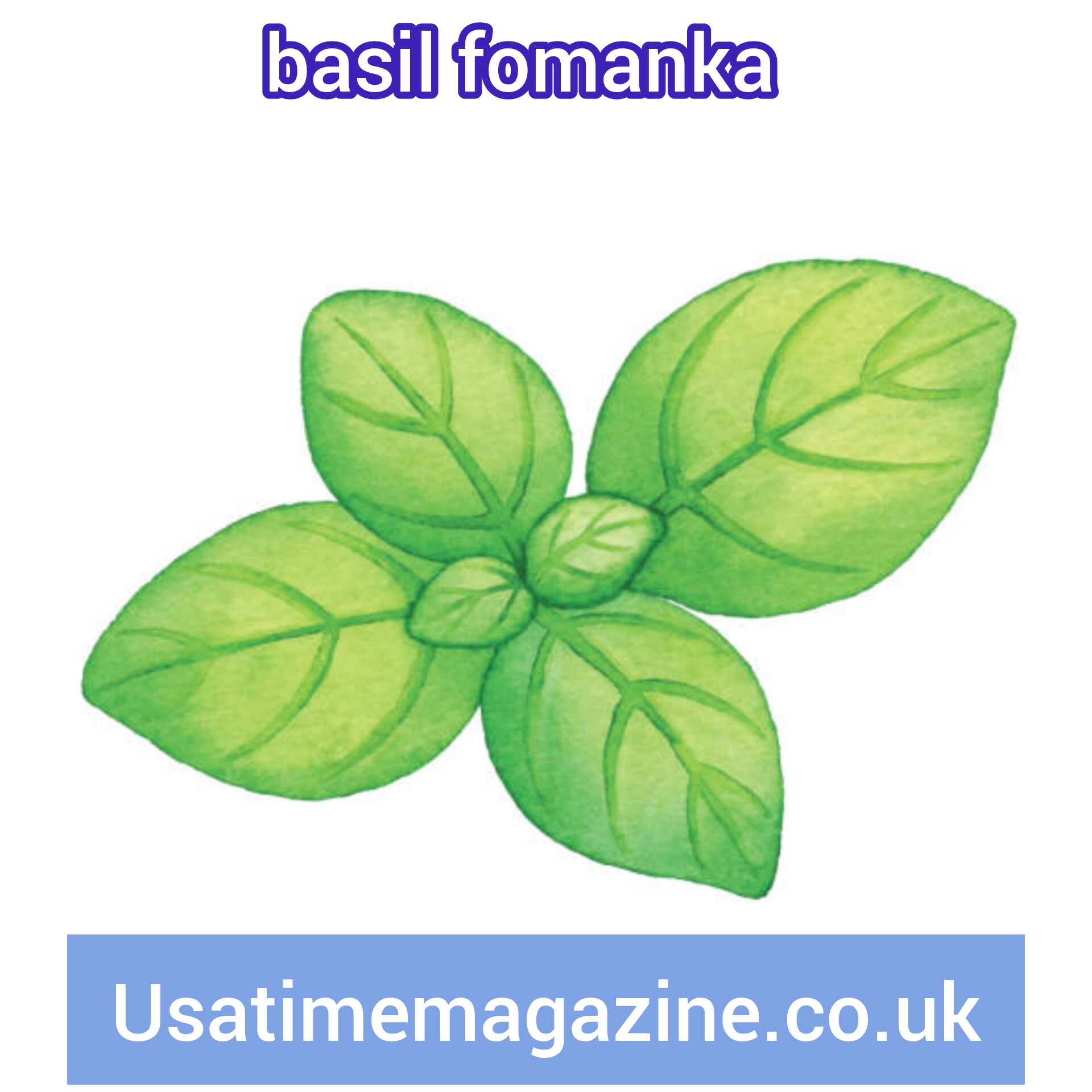 Basil Fomanka