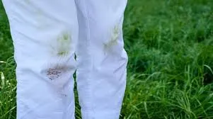 How Laundry in Amsterdam Removes Grass Stains from Cricket Jerseys