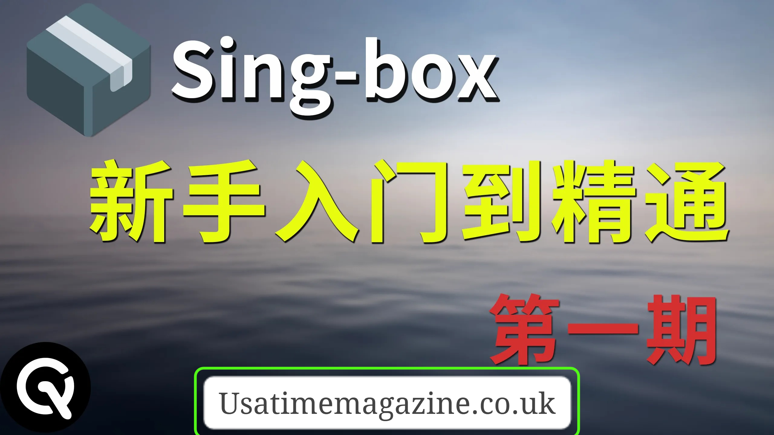 singboxi 手动安装内核