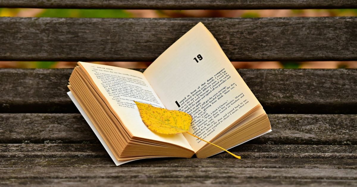 https://bronovel.com/