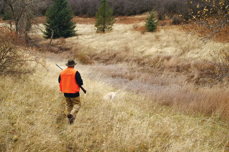 The thrill of hunting in natural outdoor settings