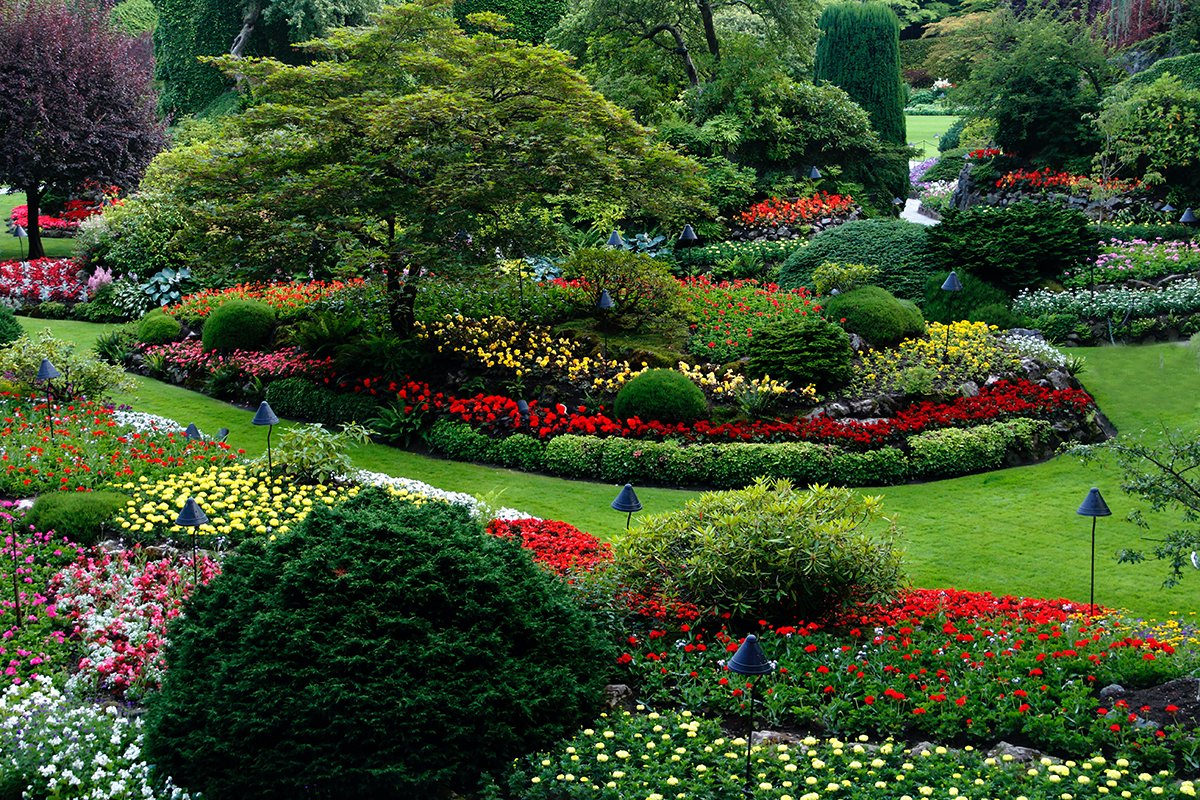 Landscaping Mistakes